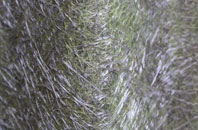 Hystfield fibreglass roof work